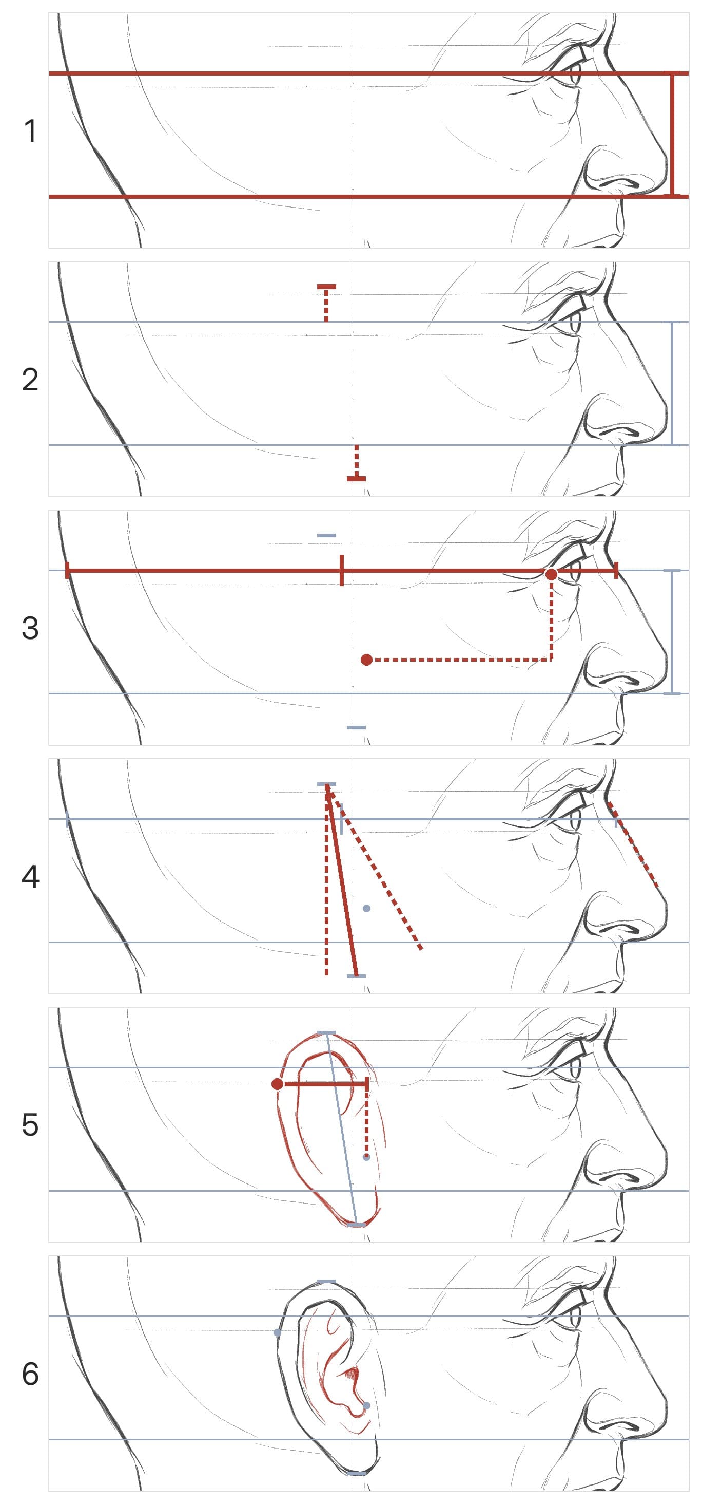 Six panels building an ear in profile: the eye line and nose base, the ear's top and lobe, the head's depth with its middle and the tragus, the ear's lean beside the slope of the nose, the back edge and rim, then the inner ridge, bowl and tragus