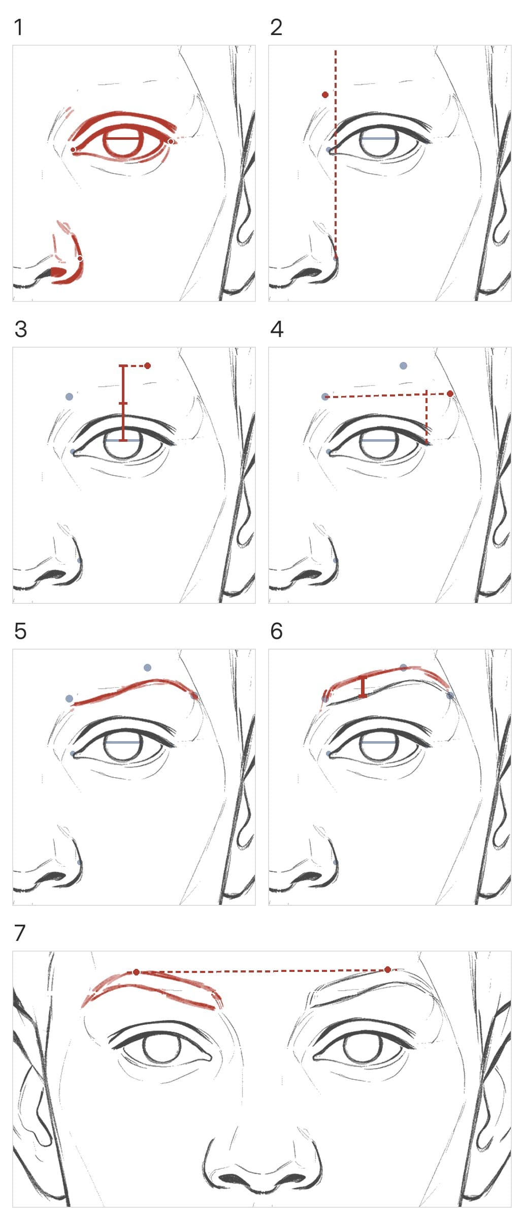 Seven panels: the eye and nose wing with an iris-width bar, the inner end, the high point two iris widths up, the tail, the lower edge, the top edge, and both brows with a level line through their high points