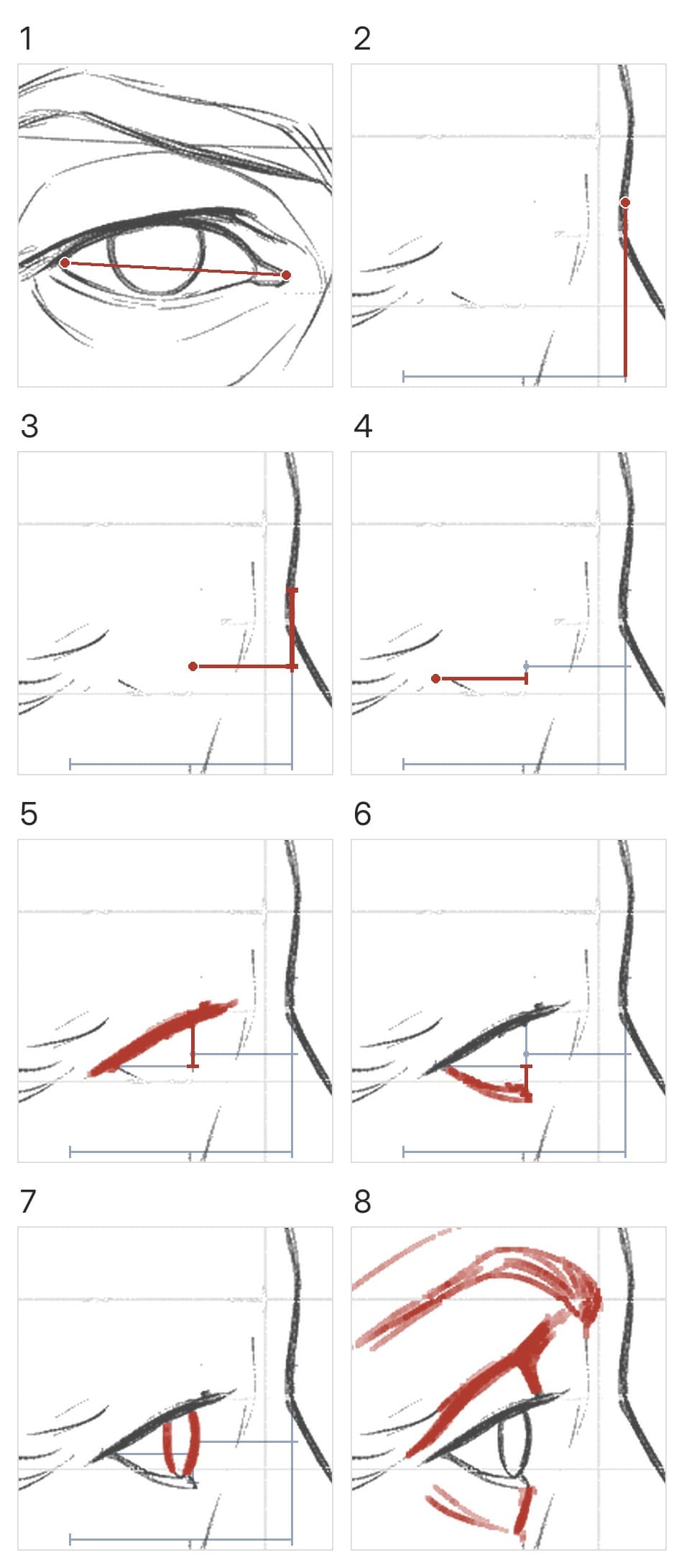Eight panels: the front-view eye width, the dip and drop line, the front, the corner, the upper lid, the lower lid, the iris, the brow and folds