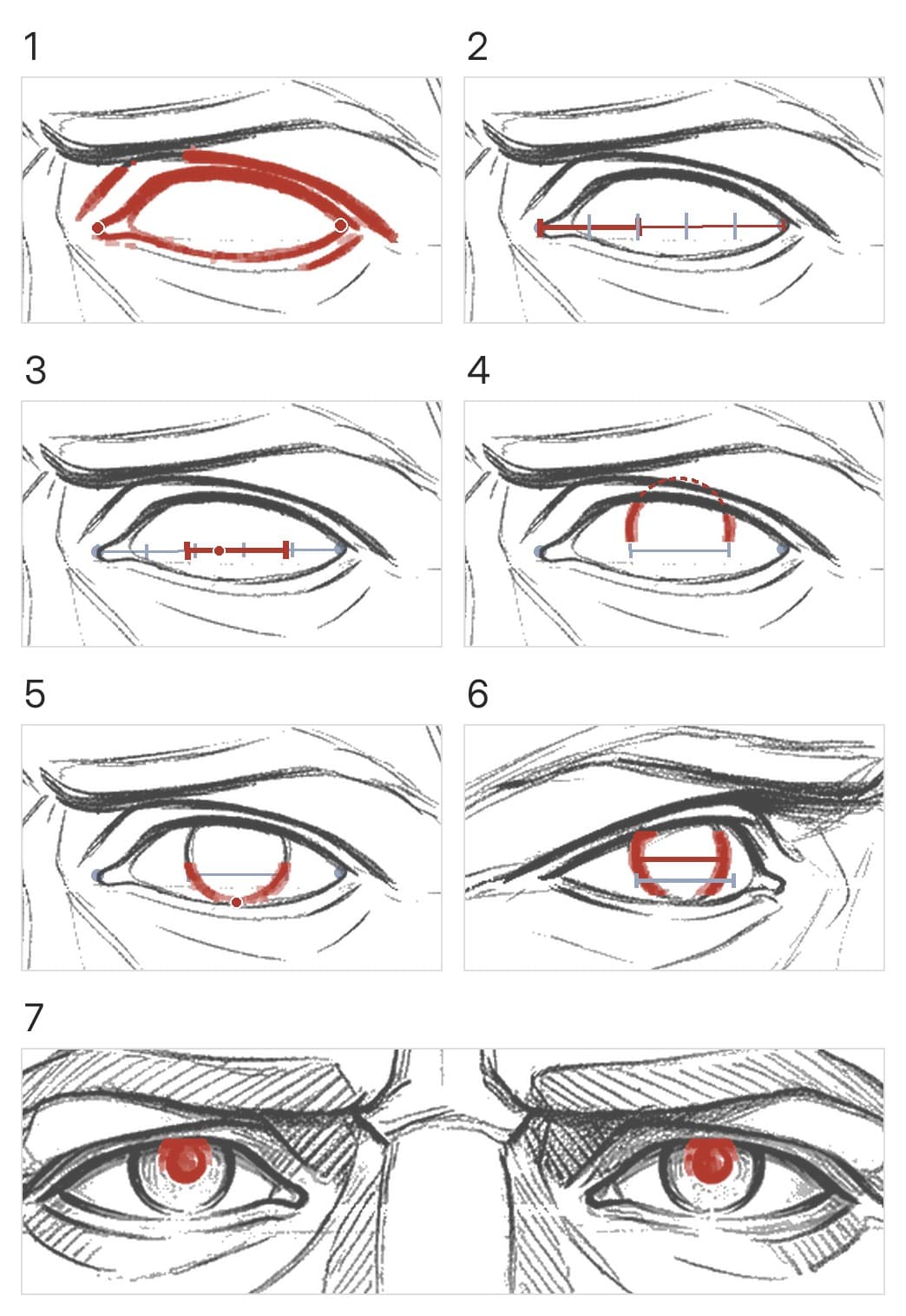 Seven panels: one eye from the front with both lids, its opening marked in fifths, the iris set a little outward of the middle, its top under the upper lid and its bottom on the lower lid; then the other eye at 45 degrees with two width bars, and both eyes in tone with red pupils