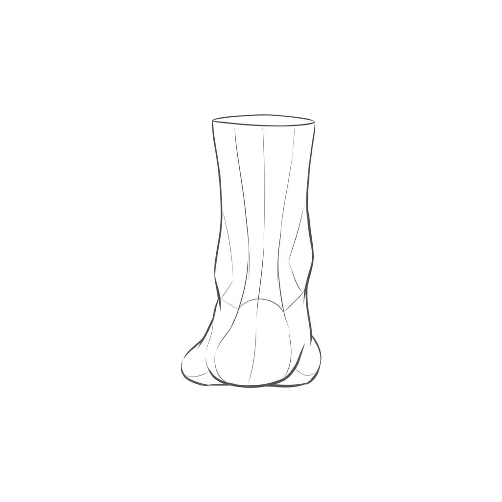 Line drawing of a standing foot from the back, the rounded heel under the leg with the tendon running up from it