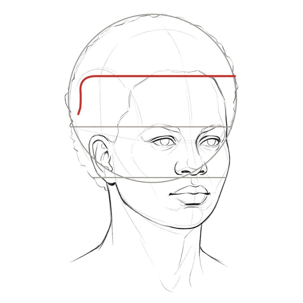 Line drawing of a head turned to three-quarter view with a red hairline across the forehead that curves down at the near temple