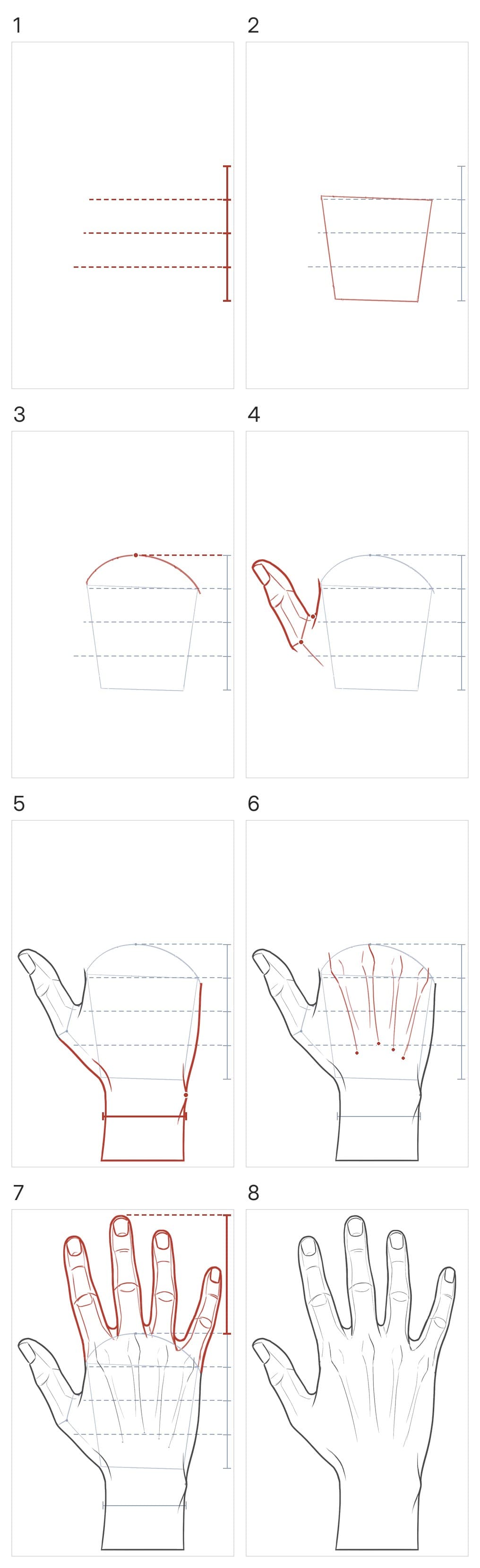 Eight panels building an open right hand from the back: the back's length marked in quarters, a box from the first quarter down to the wrist, the knuckle arc over it, the thumb split off with the corner of its base, the outline narrowing to the wrist with a bump on the little-finger side, the four tendons leaning together with lighter lines beside them, the fingers with the middle fingertip's height, then the finished drawing with every guide erased