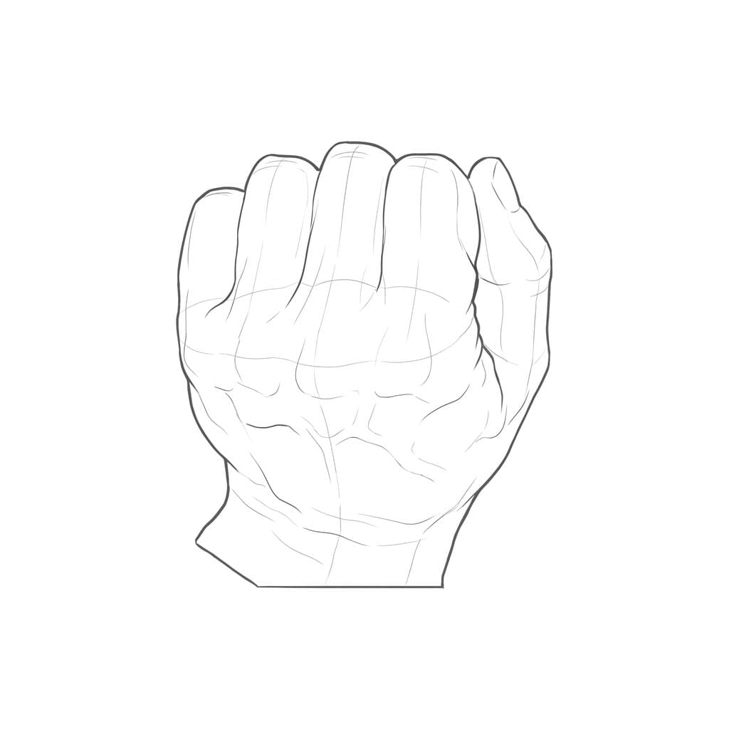 Line drawing of the back of a left hand closed in a loose fist, with the middle finger highest, the little finger lowest, and the thumb standing on the right beside the index finger with its nail near the tip