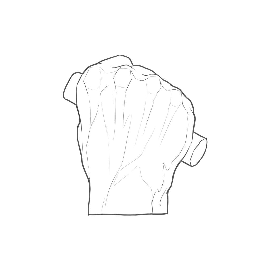 Line drawing of the back of the fist around the handle, with the knuckles across the top, lower toward the little finger, and the handle's end showing on each side