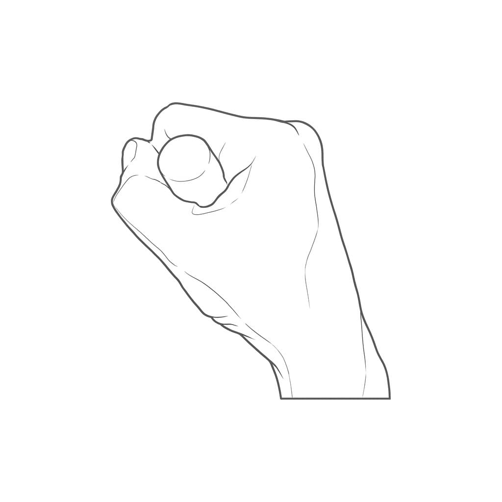 Line drawing of the same gripping hand from the thumb side, with the end of the handle showing nearly round near the top front of the fist