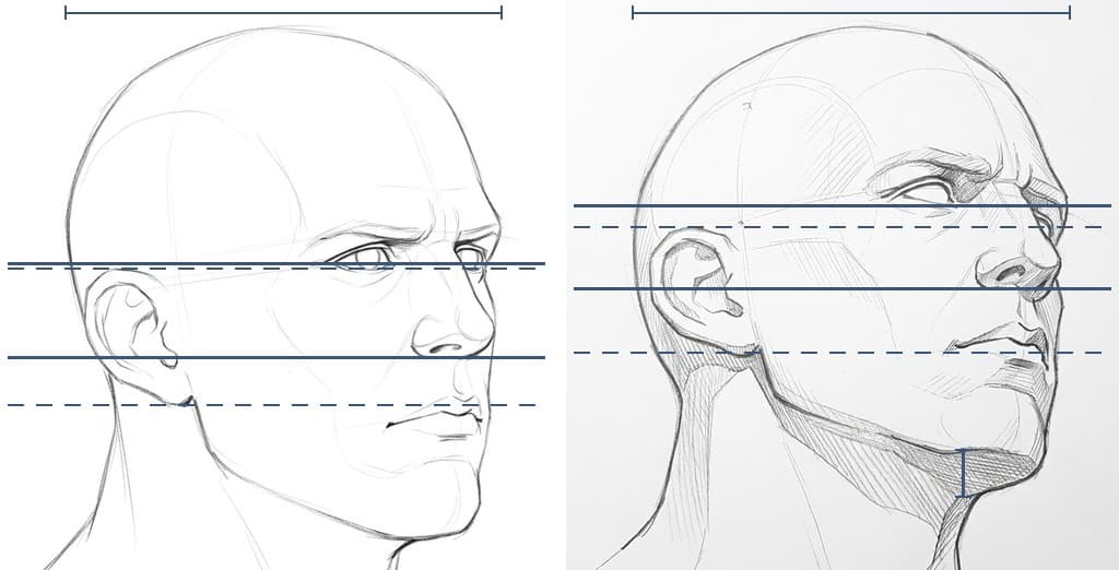 Two pencil drawings of the heavy-jaw head turned 45 degrees, at eye level and from 20 degrees below, with dashed lines at the top of the ear and the bottom of the lobe, solid lines at the inner corner of the near eye and the base of the nose, and on the second a short upright bar across the shaded underside of the jaw