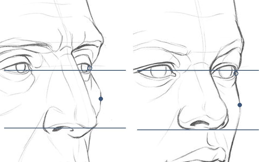 Two pencil drawings of the far side of a face at a three-quarter turn, the gaunt head on the left and the high-cheekbones head on the right, with lines at the far eye and the base of the nose, a ring where the outline dips in beside the eye and a dot where it comes back out below it