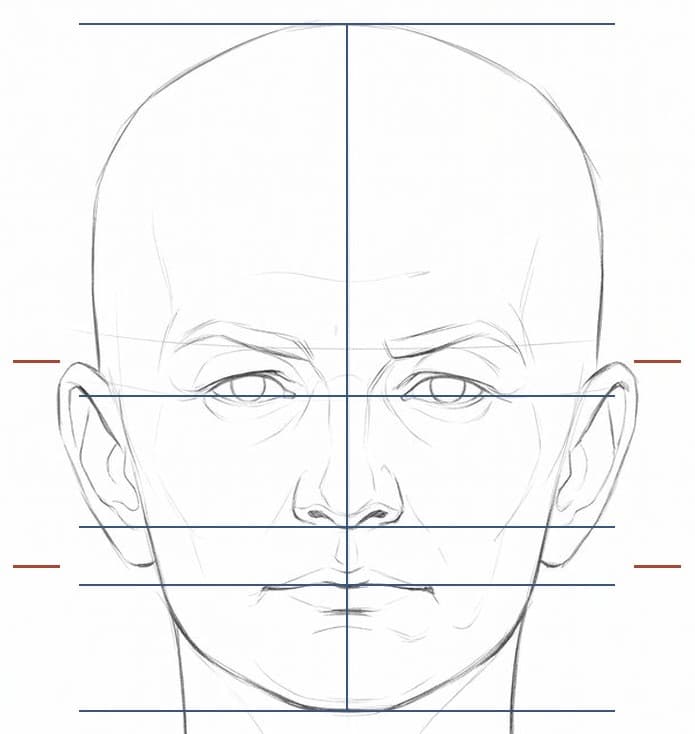 Bald head from the front with a center line, five lines across it and red ticks beside the ears