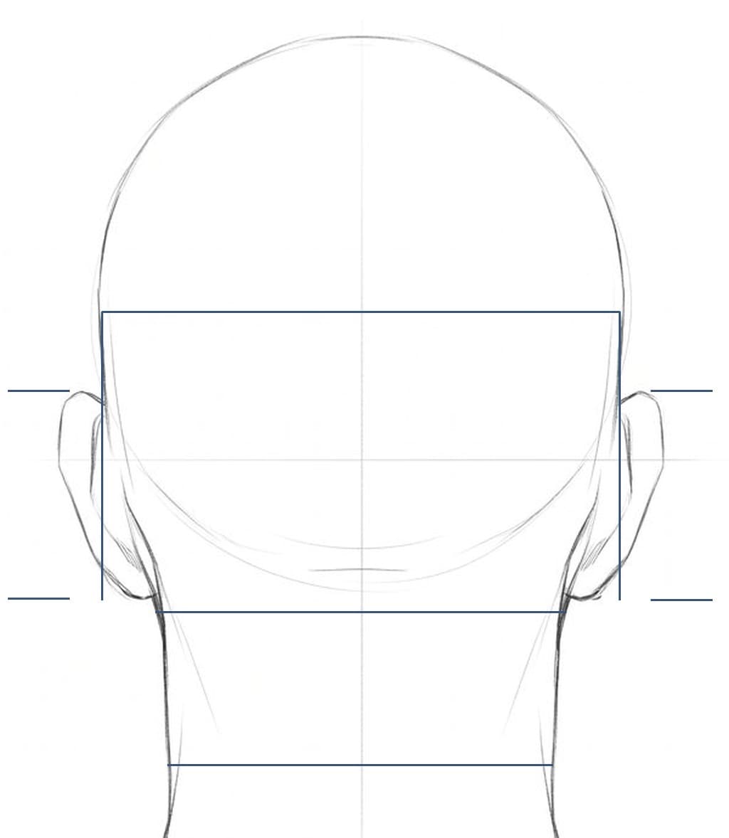 Pencil drawing of a bald head from behind with a bar across the skull, uprights on its sides down to the lobes, level marks at the top and bottom of each ear, and two bars across the neck