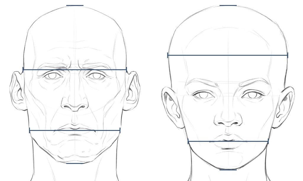 Two pencil drawings of bald heads from the front, a gaunt head on the left and a full-lipped head on the right, each with ticks at the top of the skull and the bottom of the chin and lines across the skull above the ears and across the face at the mouth corners