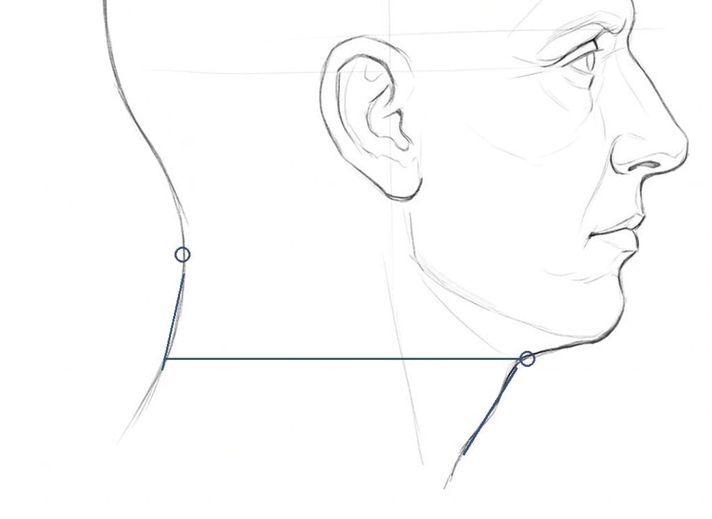 Pencil drawing of a bald, square-jawed head in profile, with circles at the hollow of the nape and where the throat turns down under the chin, two slanted lines along the back and front of the neck, and a level bar across the neck between them