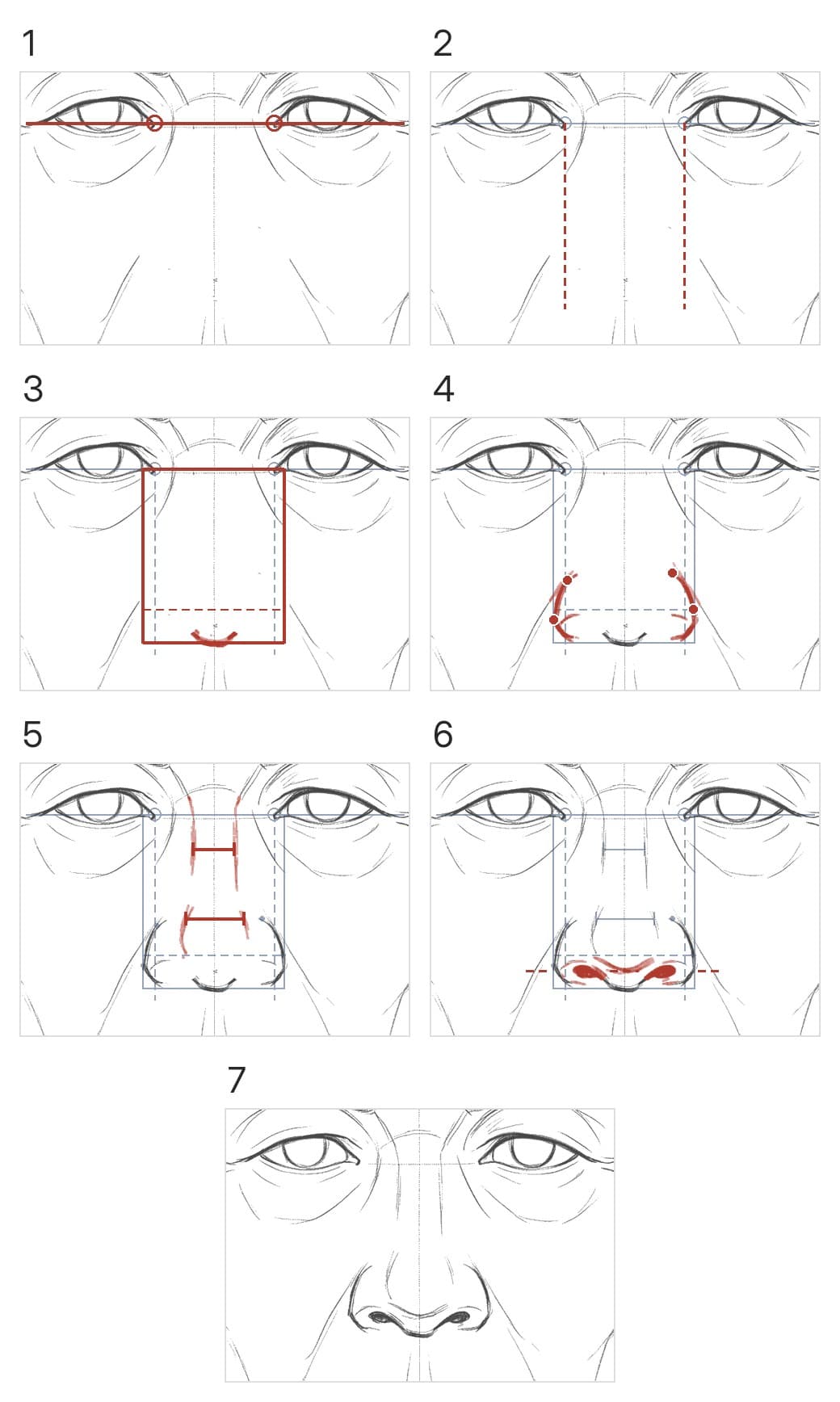 Seven panels building a nose from the front between two drawn eyes: the eye line through the inner corners, a line dropped from each corner, a box with the underside of the tip on its bottom edge, the wings from a dot at the top of each stroke, the bridge lines with bars across them, the nostrils on a dashed row, then the finished nose