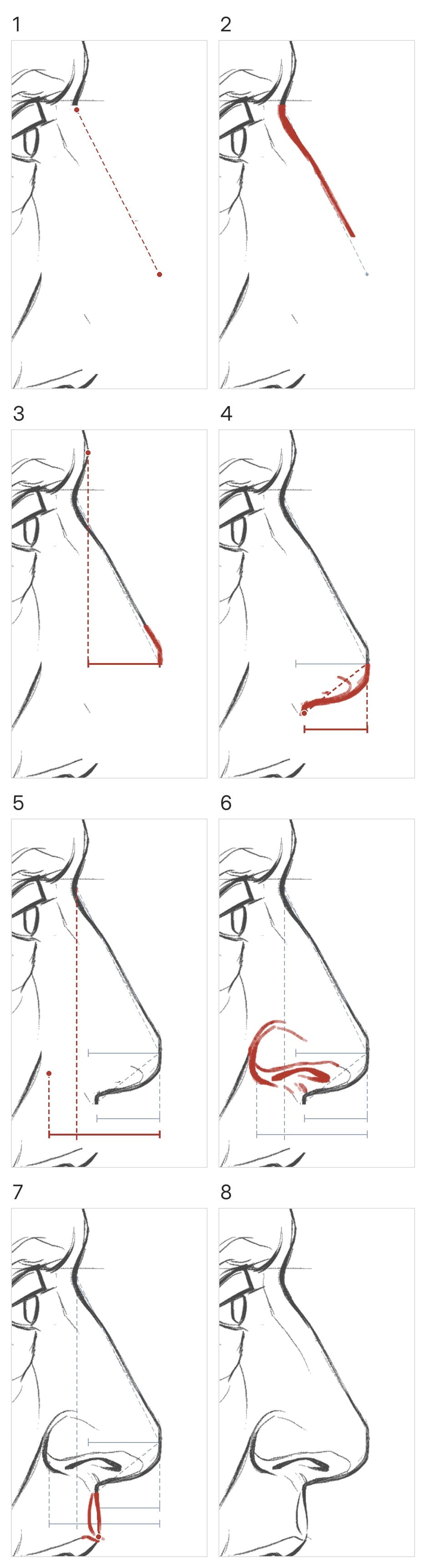 Eight panels building a nose in profile: the dip and tip marked, the straight bridge, the tip checked against the brow, the underside back to the base, the back of the wing behind a line from the dip, the wing and nostril, the upper lip, then the finished nose