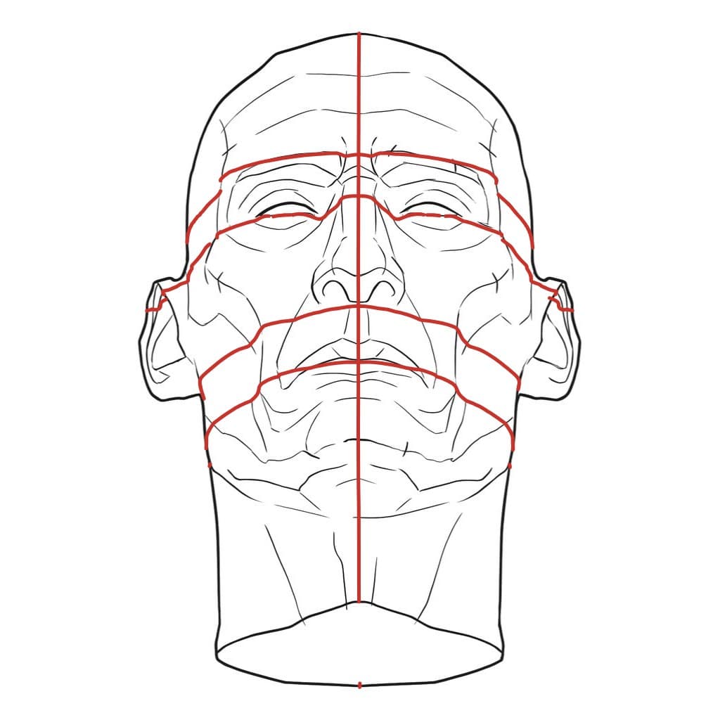 The same head from 20 degrees below, with the red feature lines arching up in the middle and the underside of the jaw showing