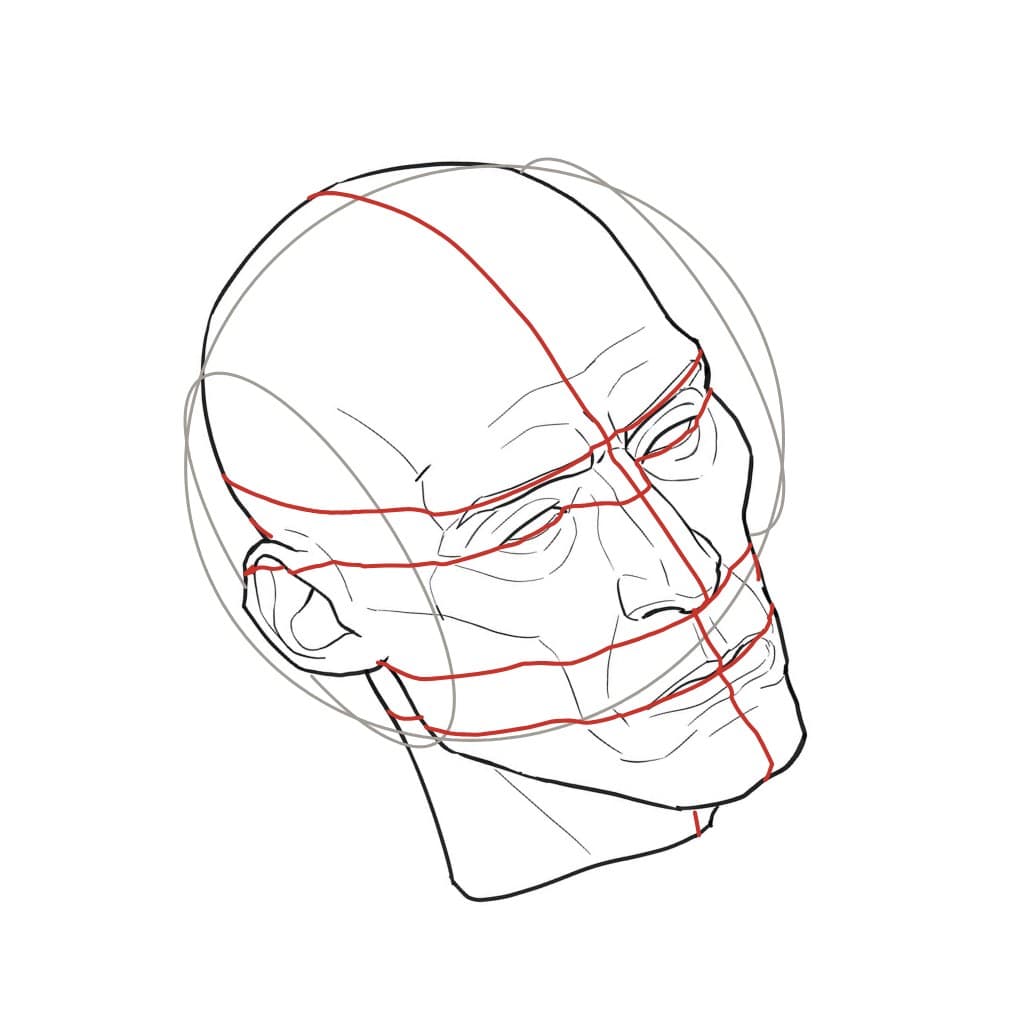 Line drawing of a head seen from above at a three-quarter turn and tilted, with red rings that curve toward the chin