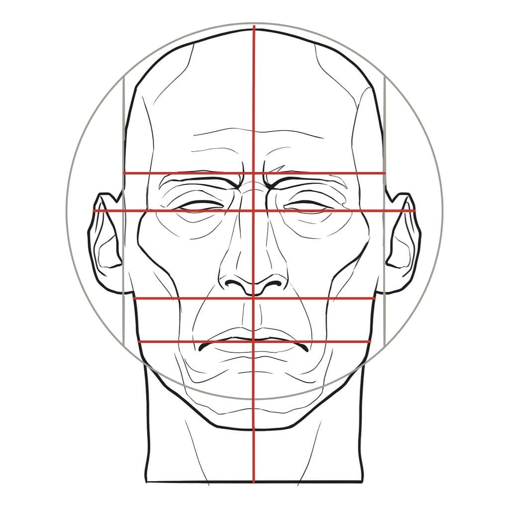 Line drawing of a head from the front, upright, with a red cross of center line and brow line and level feature lines