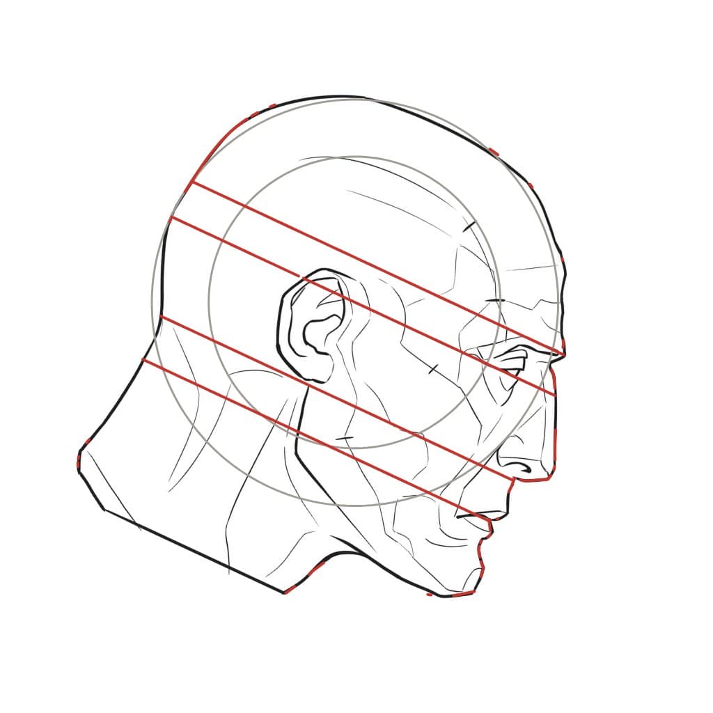 Line drawing of a head in profile, turned so the face points downward, with red construction lines running down toward the face
