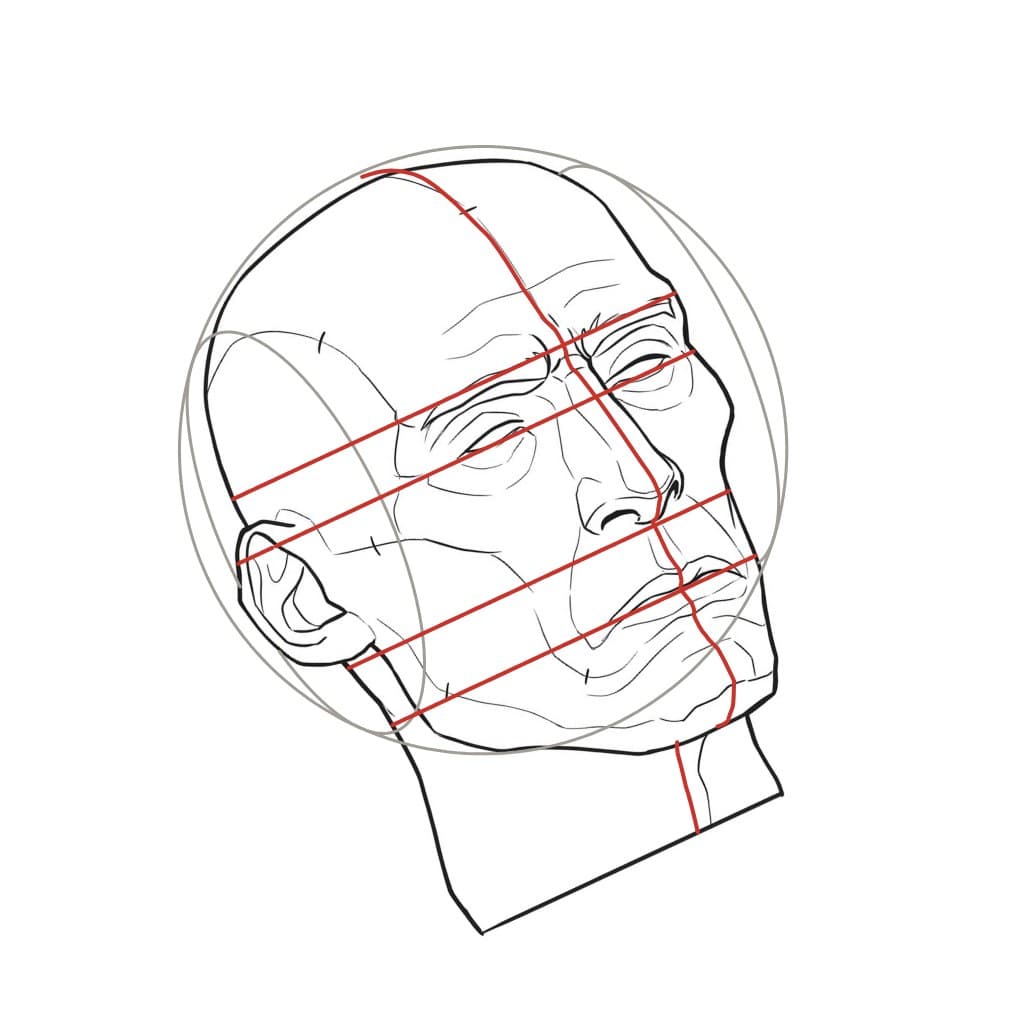 Line drawing of a head at a slight three-quarter turn, tilted toward the left of the page, with curved red construction lines
