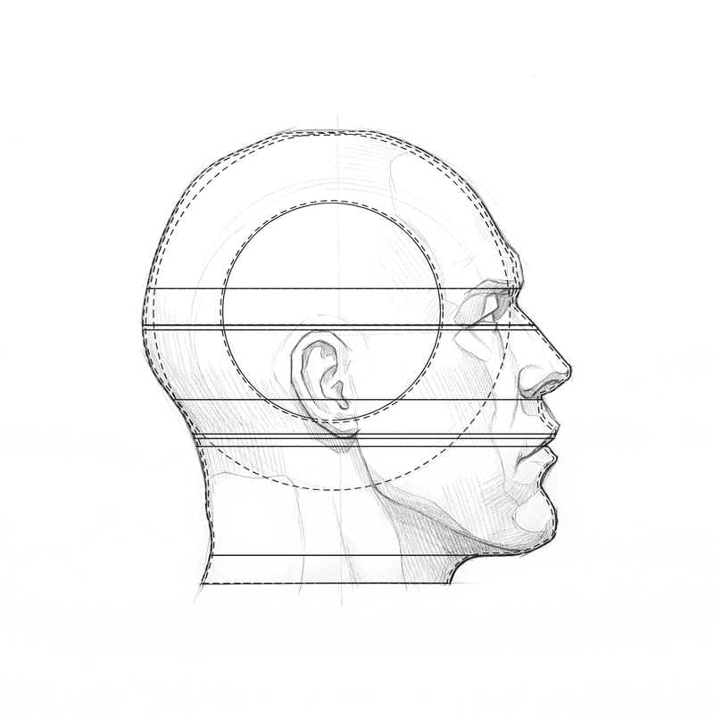 The same head in profile with a dashed ball, a solid circle on the side of the skull and level lines drawn over it