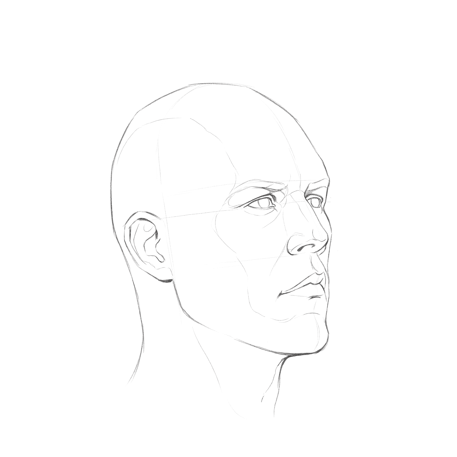Head rotation study pack 01: turnaround