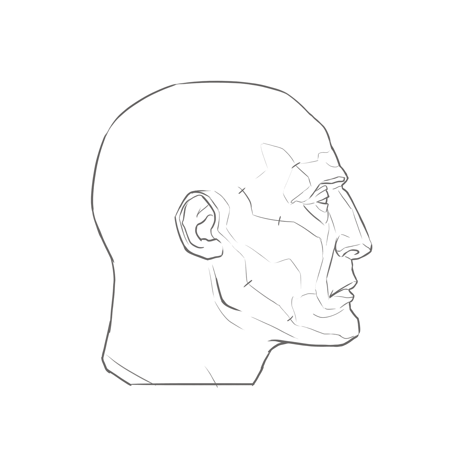 Head rotation study pack 02: turnaround