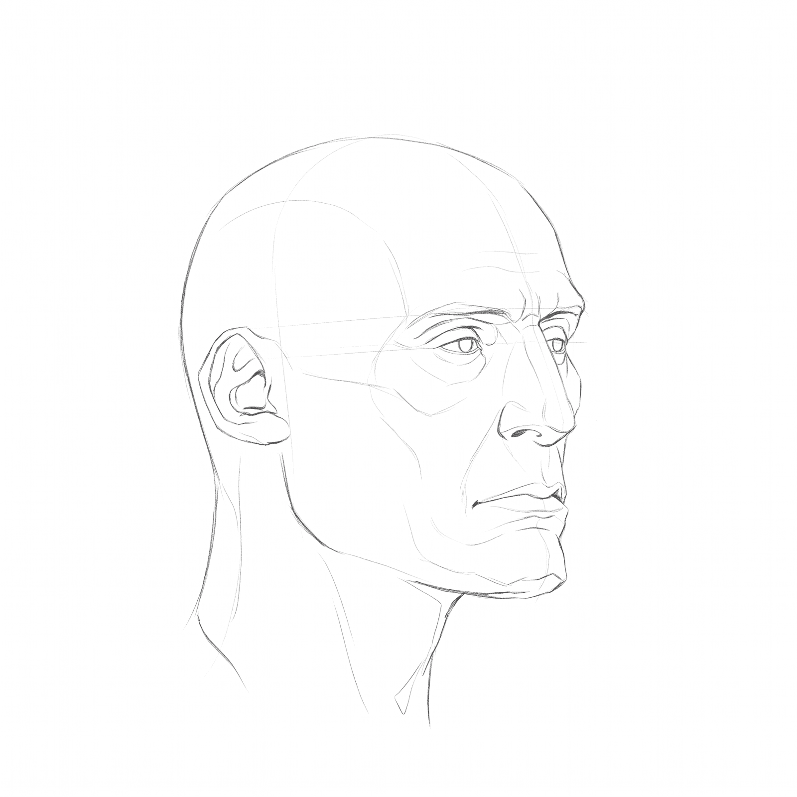Head rotation study pack 02: turnaround