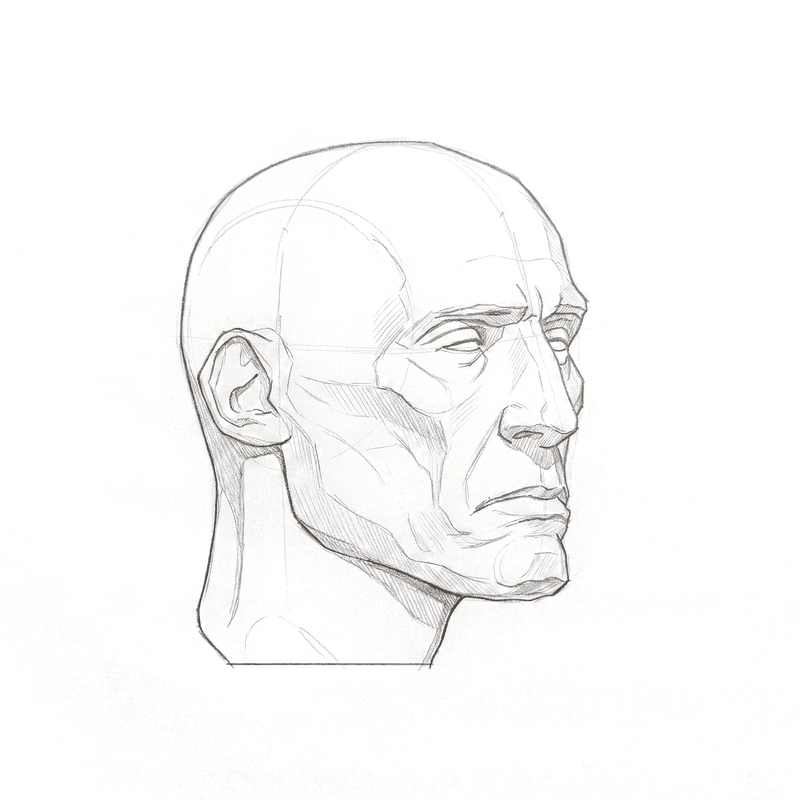 Head rotation study pack 02 at 45 degrees