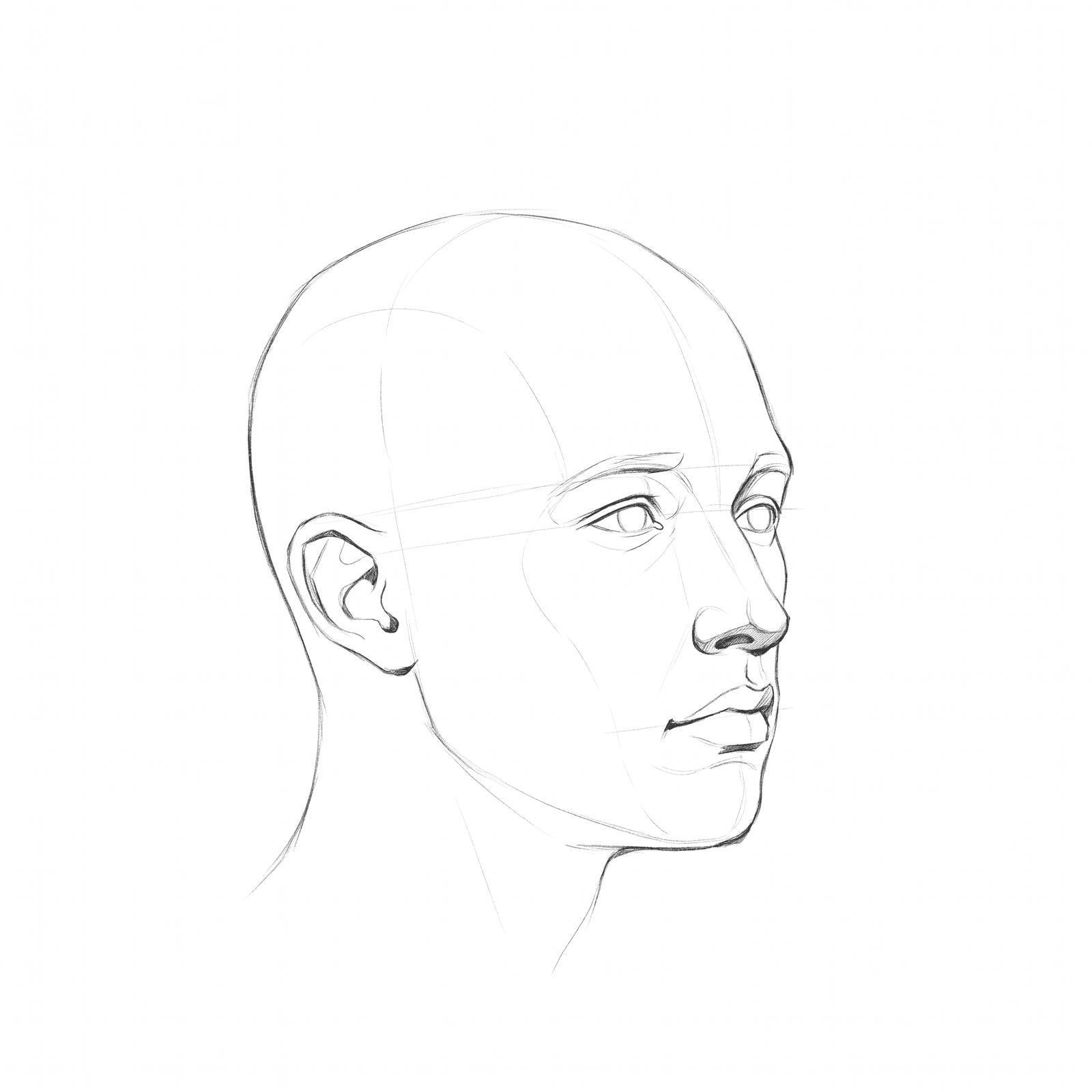 Head rotation study pack 04: turnaround