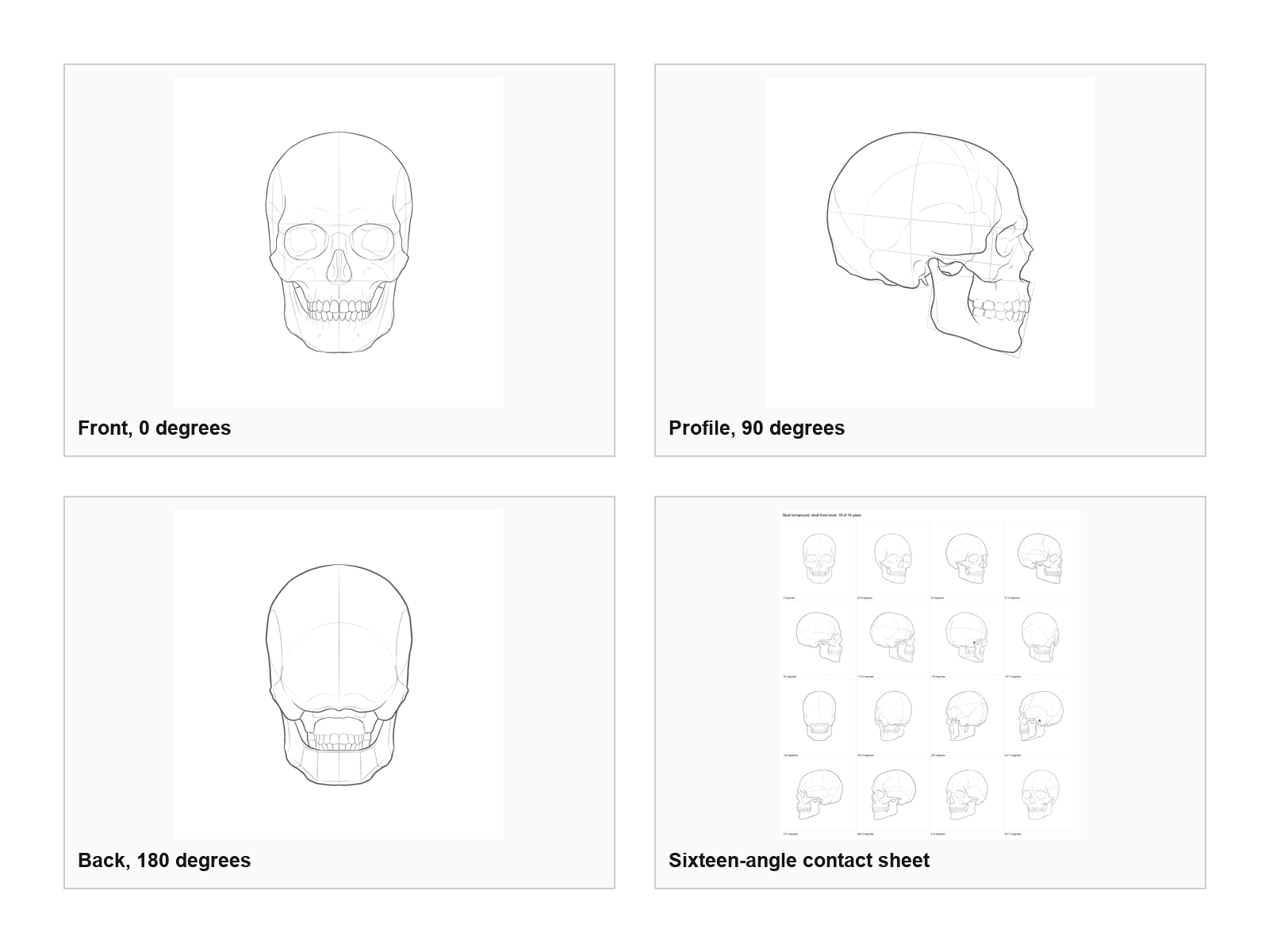Skull turnaround, volume 1: What is inside