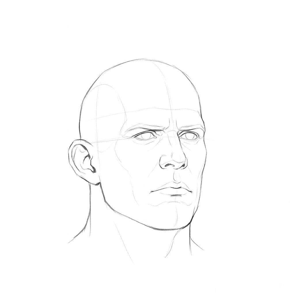 Pencil drawing of a bald head turned slightly to the side, with a full near nostril and a small dark notch for the far one