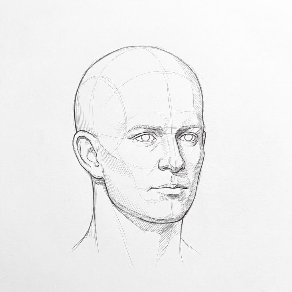 Tonal drawing of a square-jawed head turned slightly, with the near side plane in light shadow