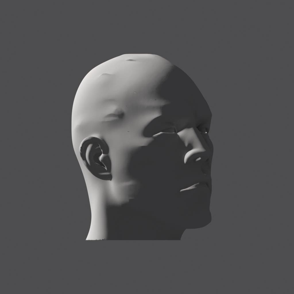 Shaded head at a three-quarter turn, lit from behind on the ear side, with the face in shadow