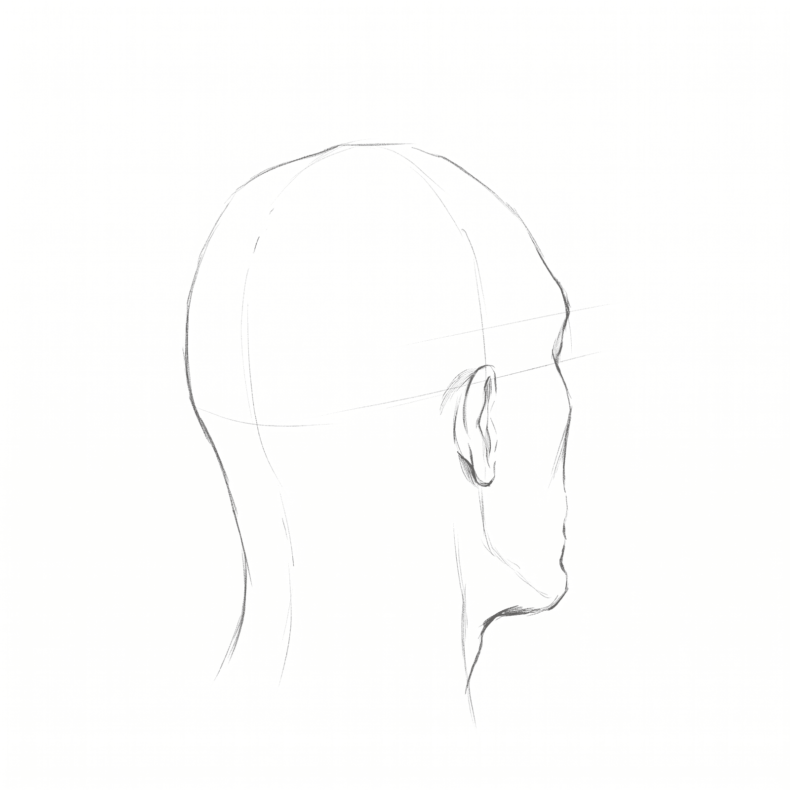 Head library at 135 degrees