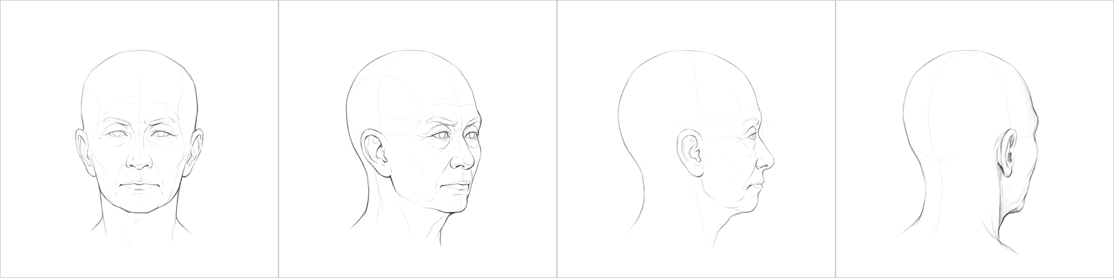 Head rotation library, pencil, four representative plates