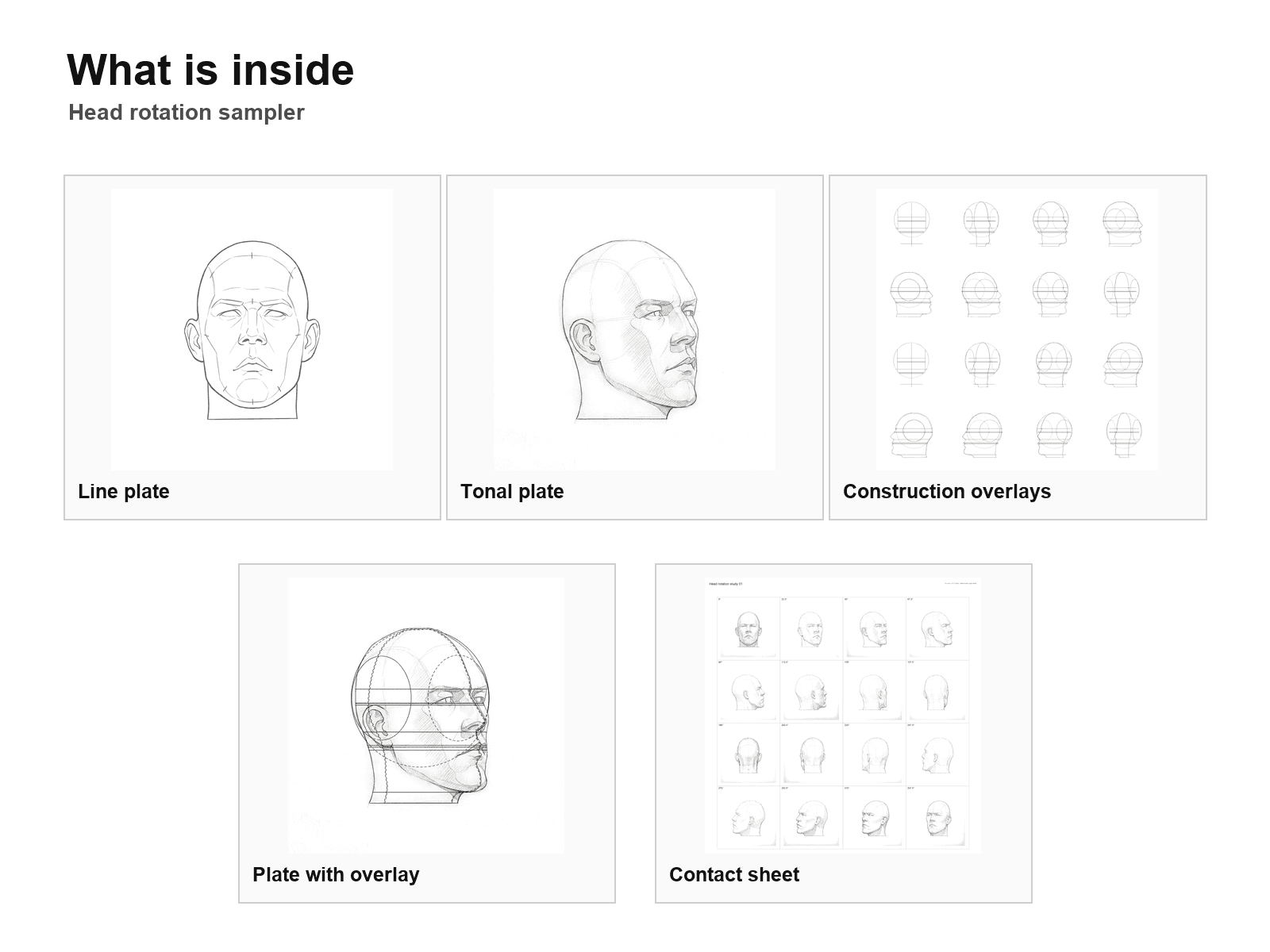 Head rotation sampler: What is inside
