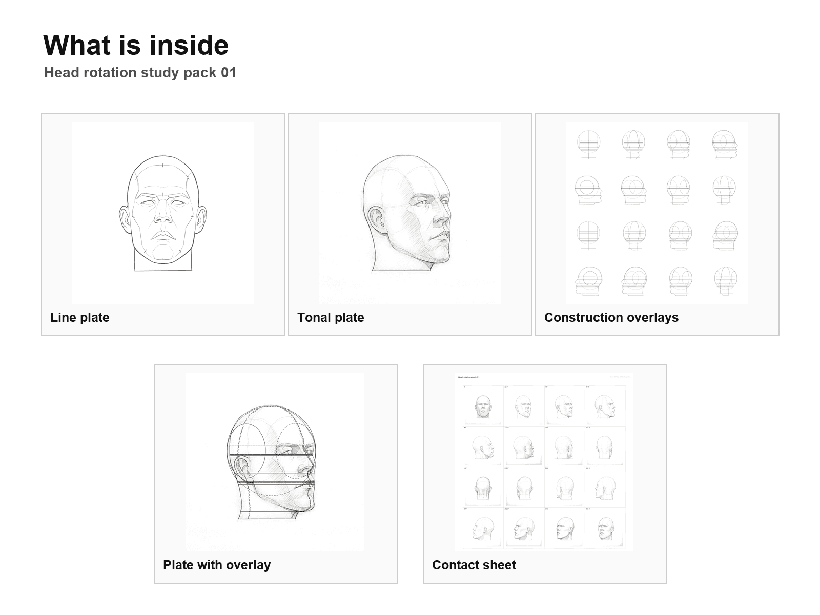 Head rotation study pack 01: What is inside