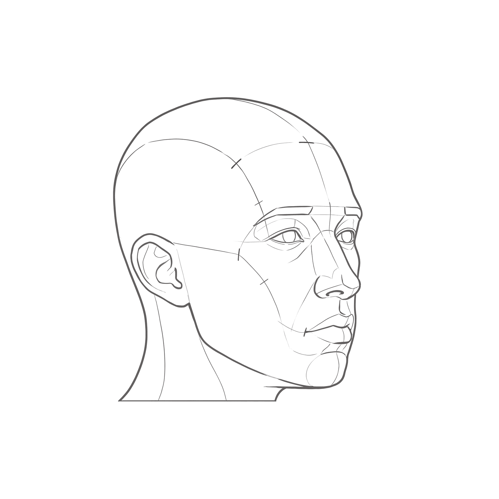 Head rotation study pack 04: turnaround