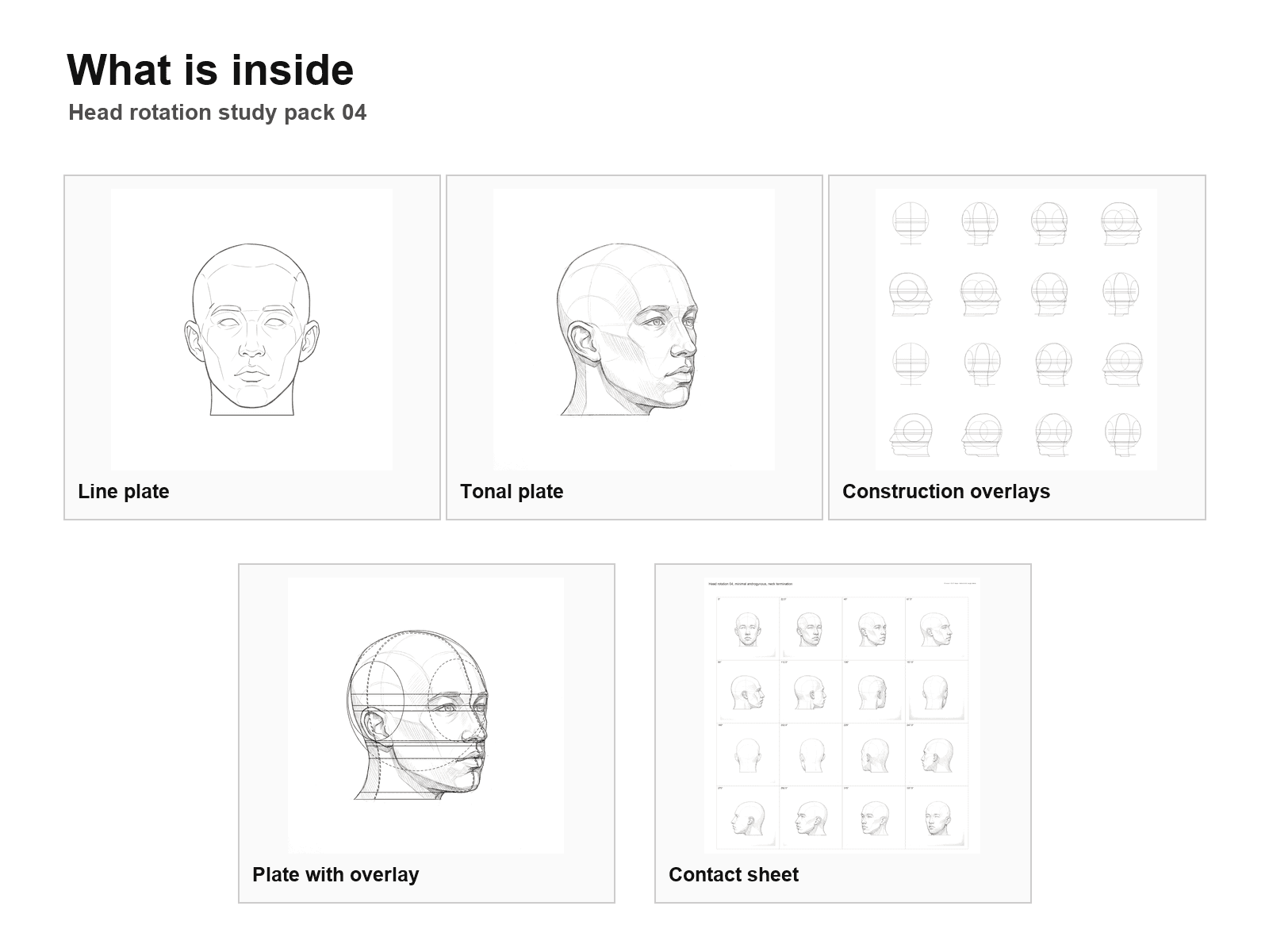 Head rotation study pack 04: What is inside