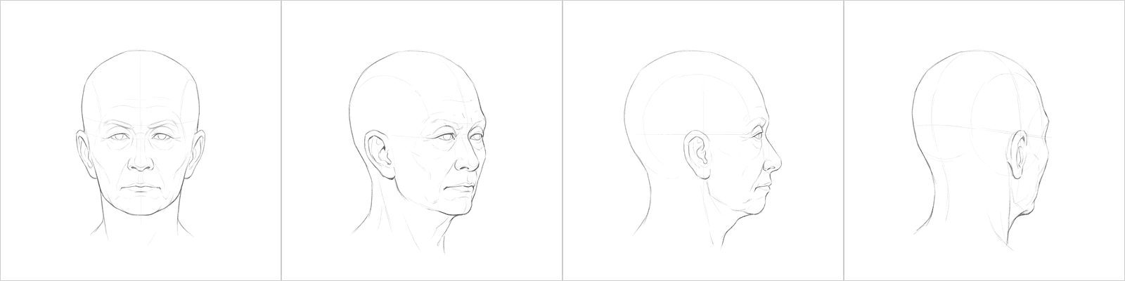 Head rotation study pack 05, four pencil angles
