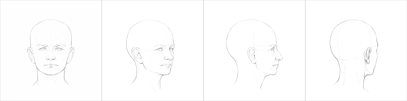 Head rotation study pack 06, four pencil angles