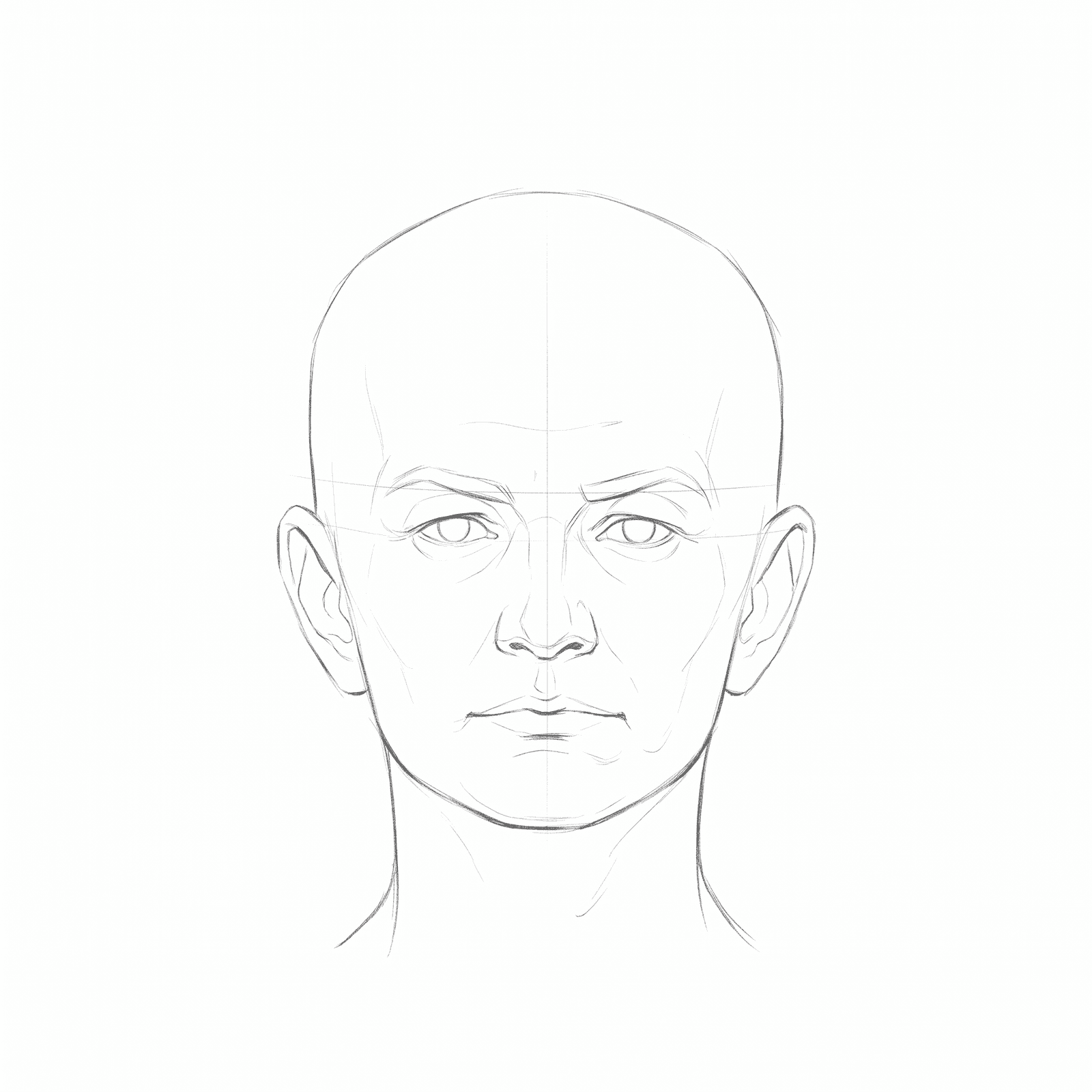 Head rotation study pack 06 at 0 degrees