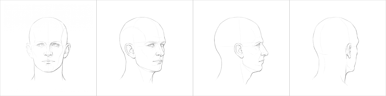 Head rotation study pack 07, four pencil angles