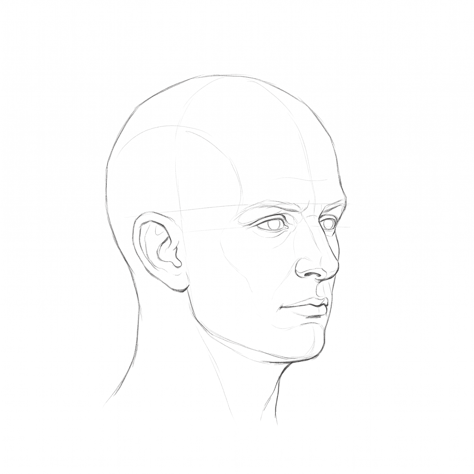 Head rotation study pack 07: turnaround