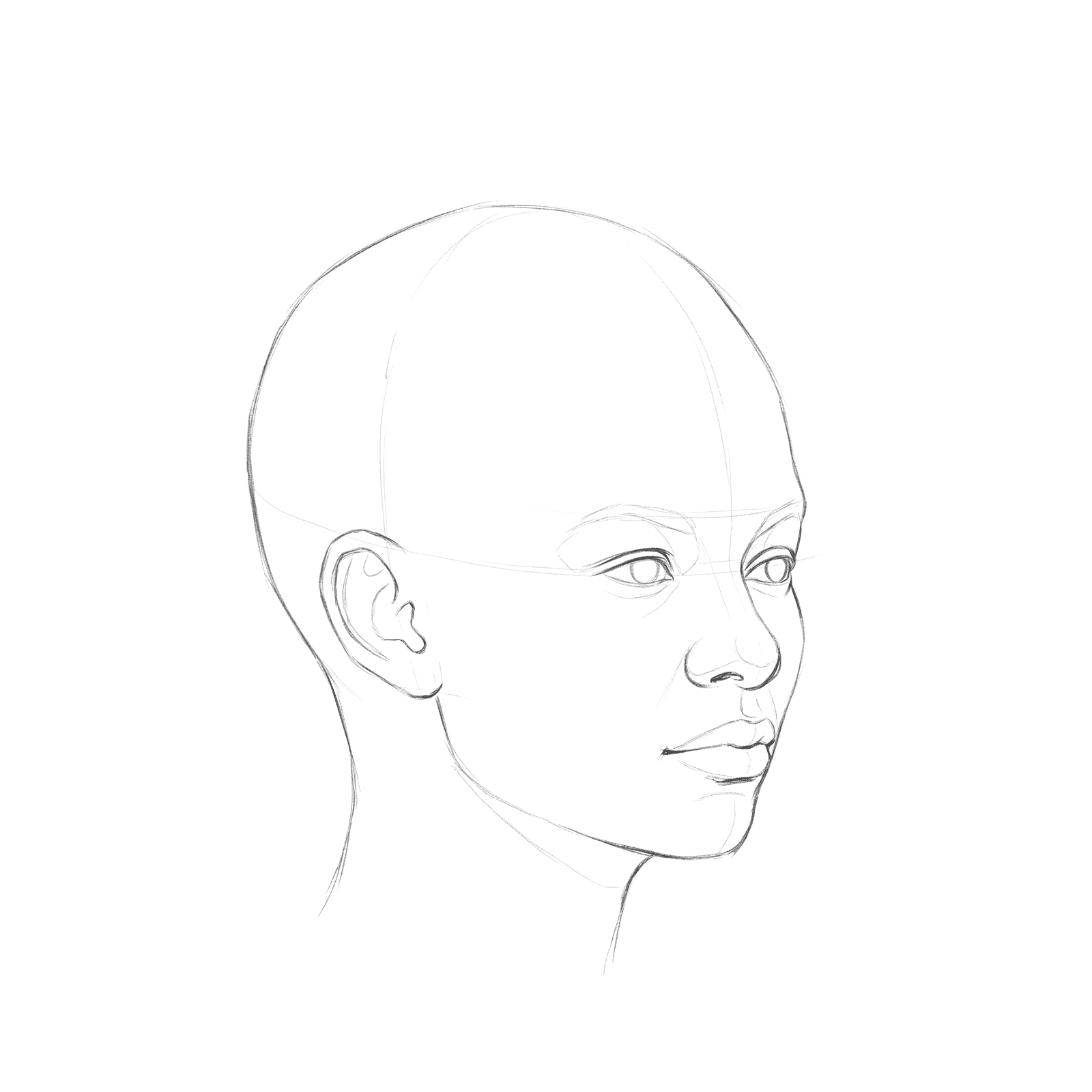 Head rotation study pack 08: turnaround