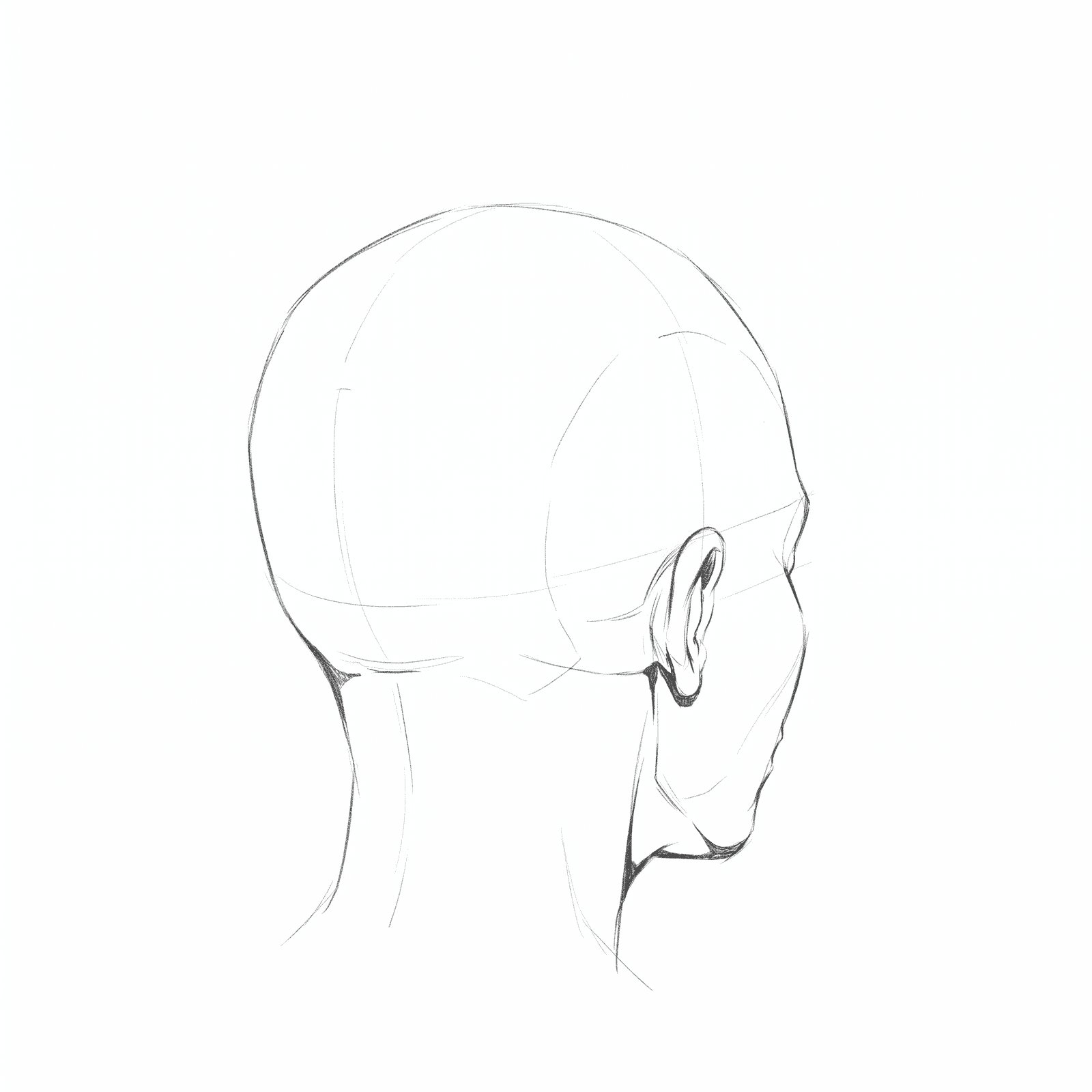 Head rotation study pack 08 at 135 degrees