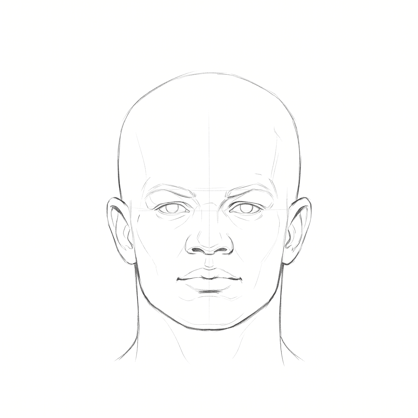Head rotation study pack 09 at 0 degrees