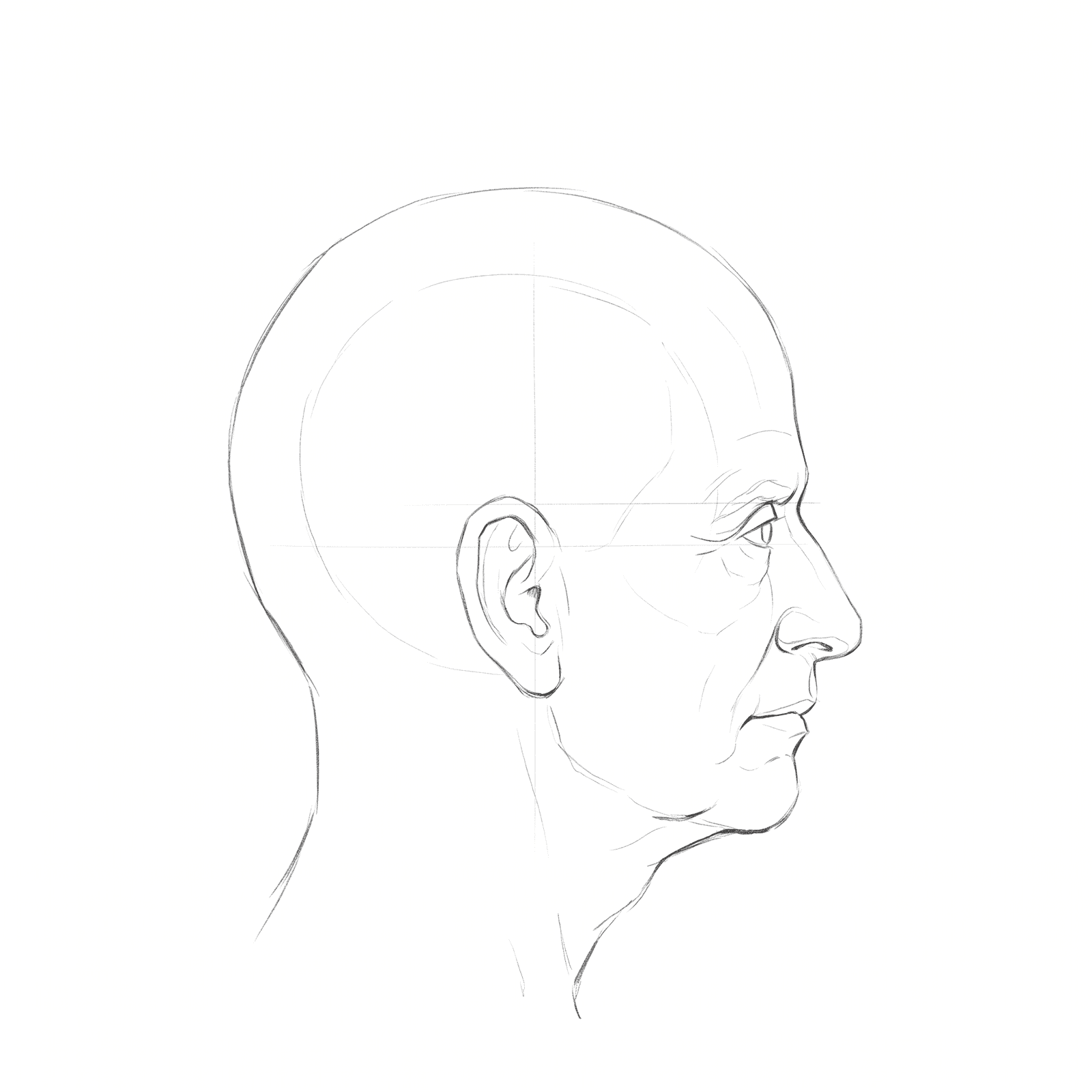 Head rotation study pack 10 at 90 degrees