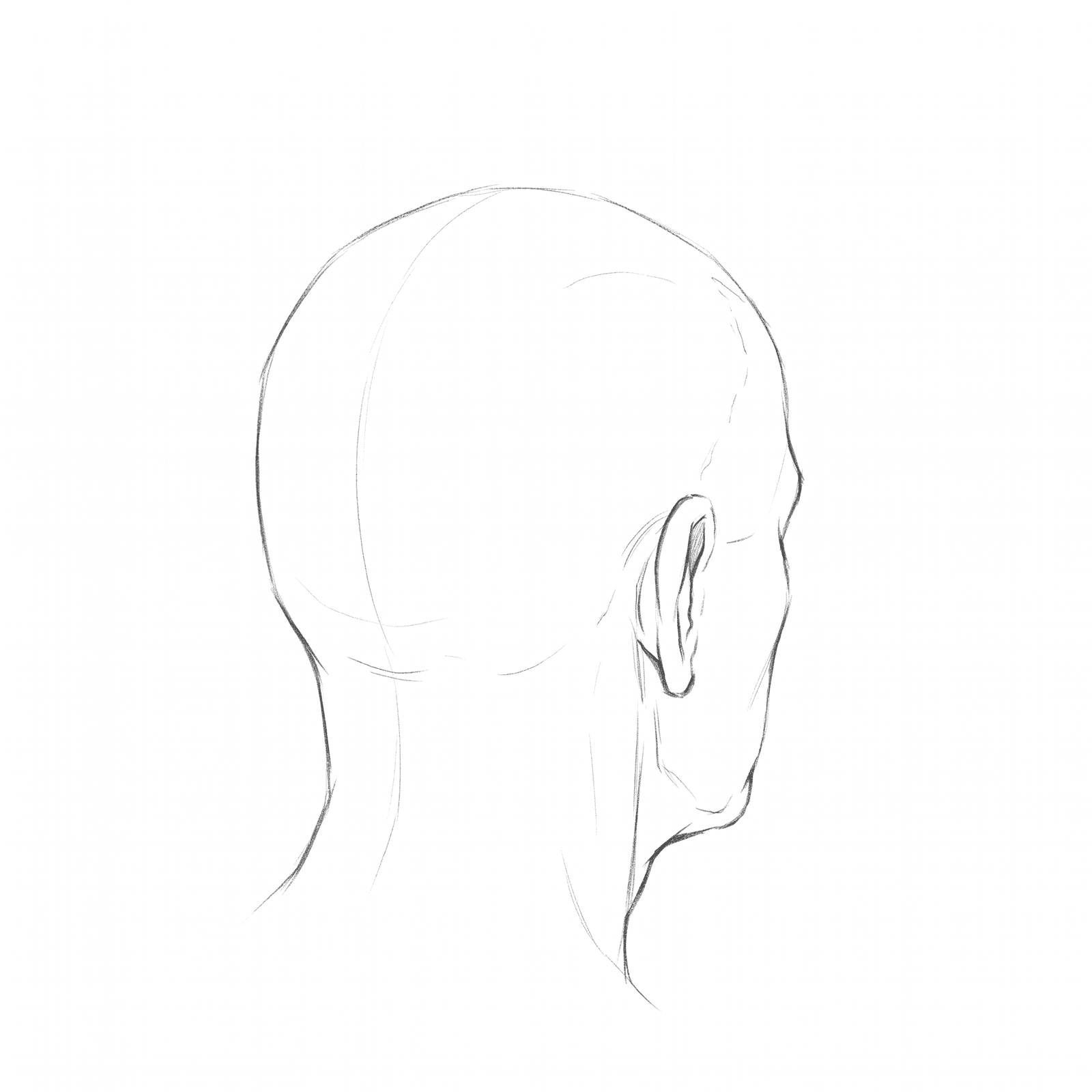Head rotation study pack 10 at 135 degrees