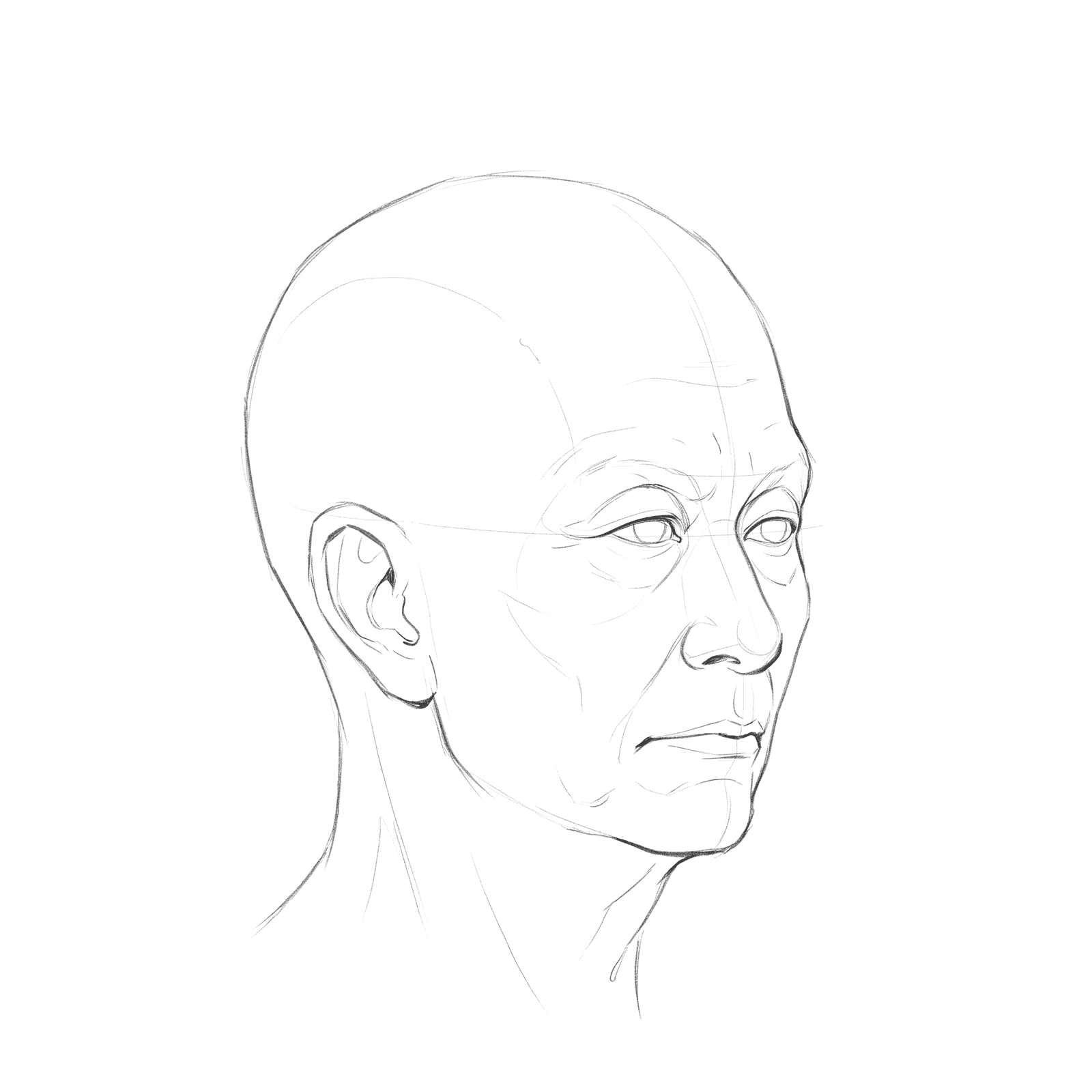 Head rotation volume 2: turnaround